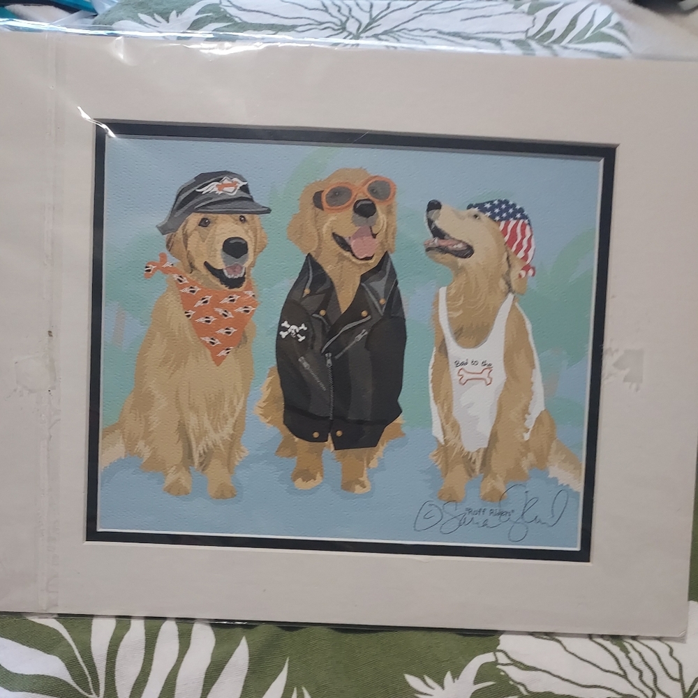 Ruff Riders - Picture 2 of 6